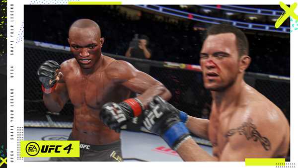 ea sports ufc pc version license key