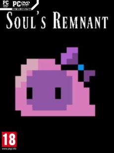 Soul's Remnant Cover