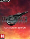Final Fantasy VII Rebirth: Collector’s Edition-CODEX