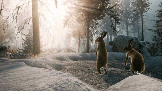 Screenshot of Winter Survival 1