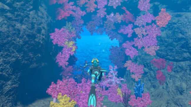 Screenshot of Endless Ocean: Luminous 2