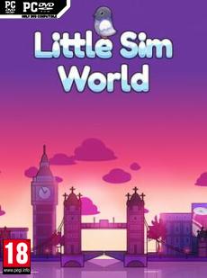 Little Sim World Cover