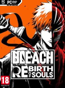 Bleach: Rebirth of Souls Cover