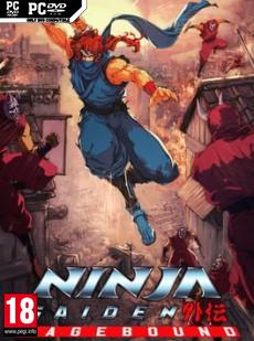 Ninja Gaiden: Ragebound Cover