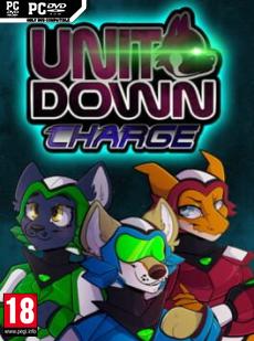 Unit Down Charge Cover